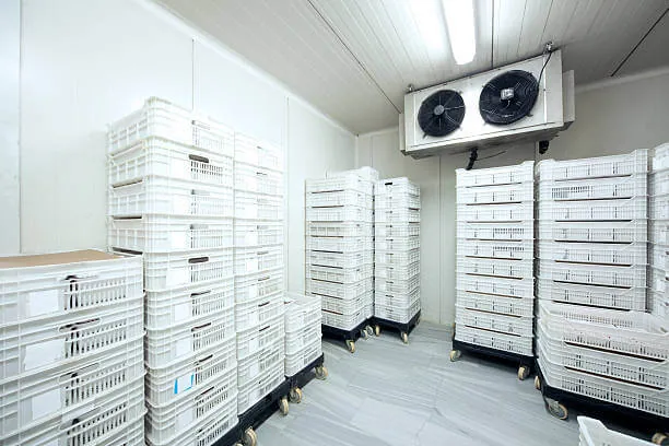 Cold-room repairs refrigeration service